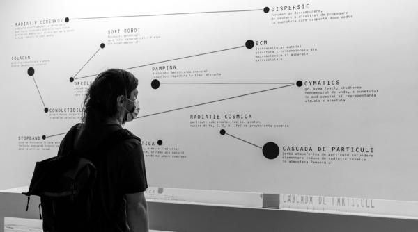 cum a fost la rezidentele artistice fusion air patru seri de dialoguri cu artistii si cercetatorii