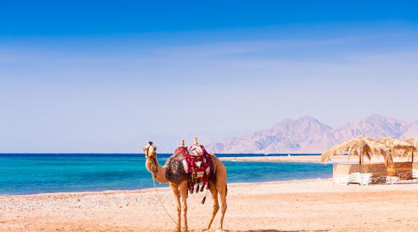 grecia egipt turcia tenerife si bulgaria preferate in aceasta vara