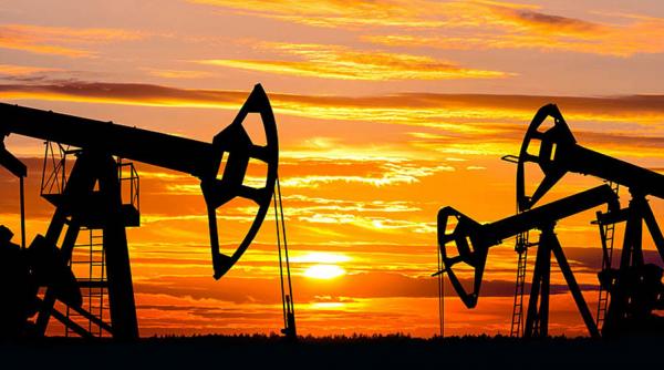 actiunile rompetrol rafinare operatorul petromidia scad la bvb