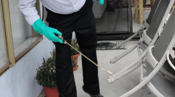 noua procedura de dezinsectie la oradea