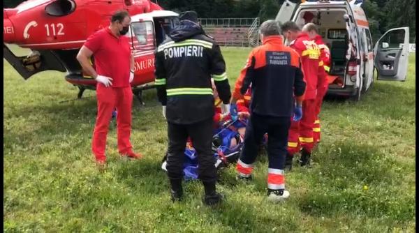 atac urs tulghes harghita