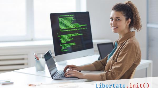 p libertate init etapele unui proiect de freelancer in it
