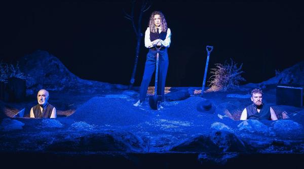 primele reprezentatii cine sapa groapa altuia de ion baiesu un spectacol de felix alexa