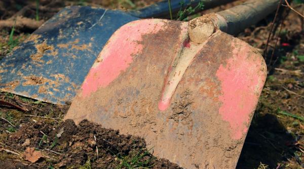 bataie ca n filmele cu mafioti pedeapsa ca n romania