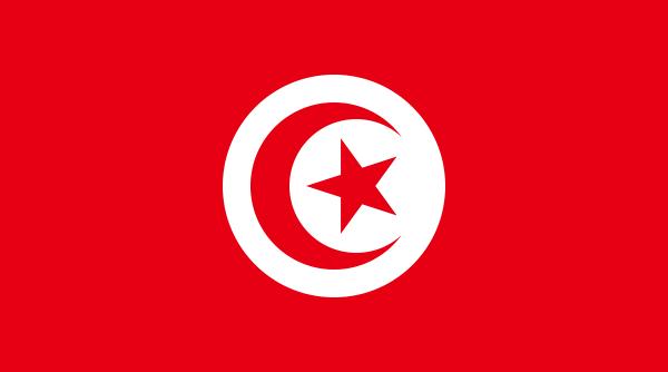 statele unite ale americii fac presiuni asupra tunisiei pentru a reveni pe calea democratiei