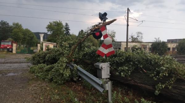 teribilism la trecerea la nivel cu calea ferata un sofer a fortat bariera