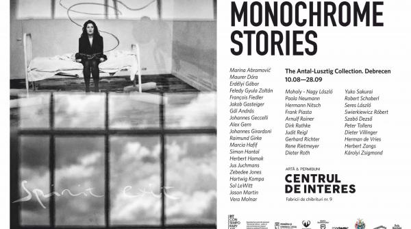 cea mai mare colectie privata de arta din ungaria expusa la centrul de interes marina abramovic gerhard richter sau sol lewitt printre artistii expusi