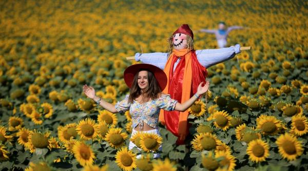 uranus retrograd determina fiecare zodie sa si faca propriile reguli