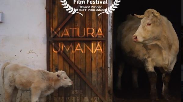 proiectie de film in cadrul expozitiei apocalipsa elefantului alb