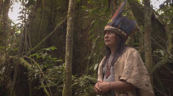 the magnitude of all things o explorare emotionanta a schimbarilor climatice deschide cea de a 6 a editie alpin film festival