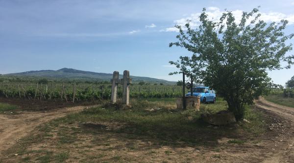 greceanca o poveste de iubire adormita in piatra