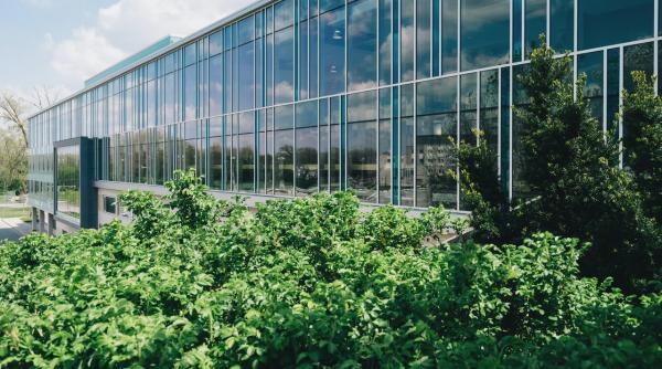 ce elemente exterioare esentiale detin cladirile de birouri ale viitorului