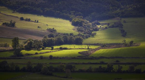 dor de viscri primul album fotografic dedicat celui mai indragit sat din romania