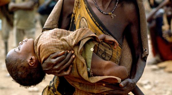 malaria ar putea fi redusa cu 70 cercetatorii au gasit o schema de tratament