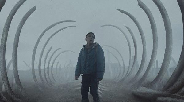 exclusiv pe tiff unlimited the whaler boy marele castigator tiff 2021