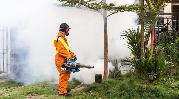 o firma de deratizare reprezentata de casa de avocatura a cristinei traila contract fara licitatie de la primaria usr istului allen coliban