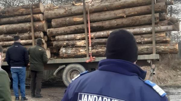proiect de lege jandarmeria ar putea confisca vehiculele care transporta lemn taiat ilegal