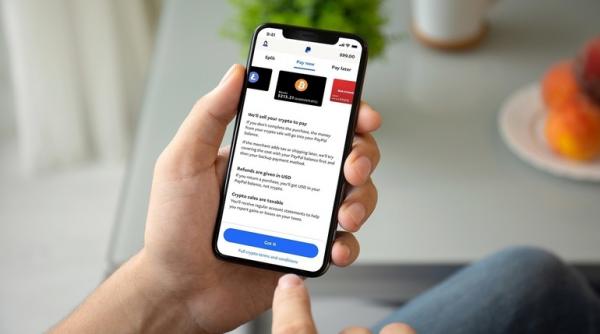 confinity paypal combinatia financiara la un click distanta