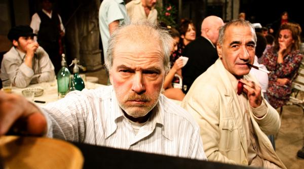 undeva la palilula lansat in salile din franta avanpremiera la forum des images in prezenta lui silviu purcarete