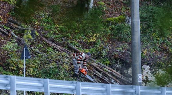 defrisari ilegale doi jurnalisti si un activist de mediu au fost batuti crunt la suceava
