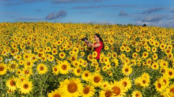 horoscop zilnic 21 septembrie 2021 taurii au probleme cu banii sagetatorii sunt melancolici