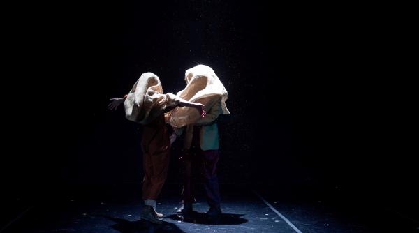 spectacolul porno povestea sotiei mele la festivalul drama