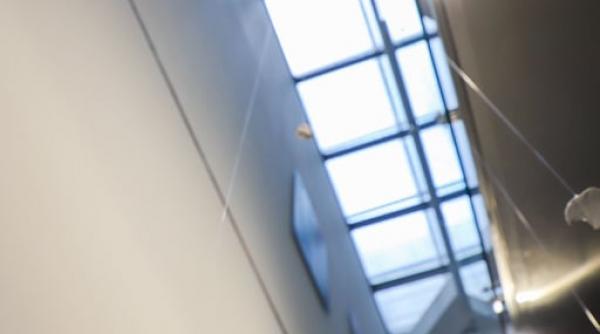 lucrarile artistului roman alex mirutziu prezentate in expozitia un mute de la new york