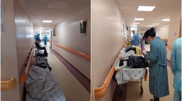 la vie en rose in rosul bucurestiului