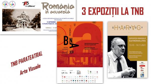 trei expozitii atractive si interesante in foaierele tnb