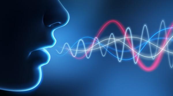 politia romana isi face update multimedia ca sa iasa din preistoria tehnologica