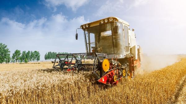 peste 16 milioane de euro solicitati pentru infiintarea grupurilor de producatori agricoli