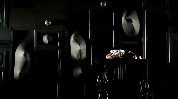 tntm prezinta rinocerii in regia lui gabor tompa la festivalul national de teatru fnt