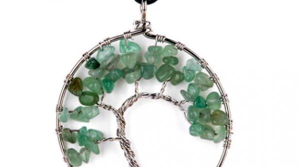 pomul vietii un simbol cu implicatii nebanuite ilisio ro