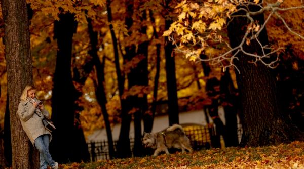 horoscop zilnic 6 noiembrie 2021 berbecii sunt increzatori pestii trebuie sa colaboreze