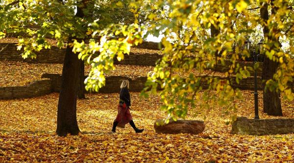 3 zodii vor avea o saptamana perfecta in perioada 8 14 noiembrie 2021