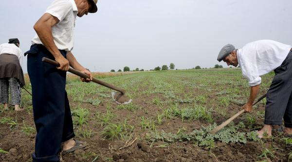 promisiuni de 16 miliarde de euro la ministerul agriculturii facute pe repede inainte