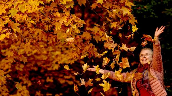 influenta zilei de 11 11 asupra fiecarui semn zodiacal