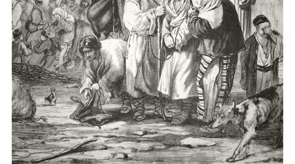 povestile crizelor sanitare urbane