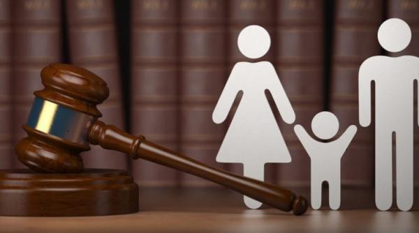 david copilul prins in razboiul parintilor