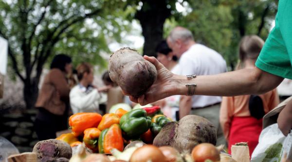 agricultura ecologica are reguli noi de la 1 ianuarie 2022