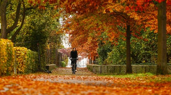 horoscop zilnic 27 noiembrie 2021 gemenii sunt ingrijorati leii sarbatoresc