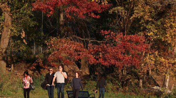 horoscop zilnic 28 noiembrie 2021 este o zi perfecta pentru rezolvarea unor probleme ingrijoratoare