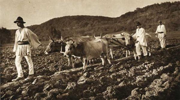 economia romaniei mari la sfarsitul primului razboi mondial aproape de colaps