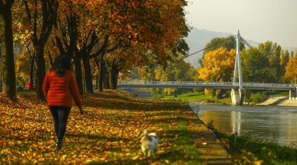 horoscop zilnic 7 decembrie 2021 toate zodiile sunt pline de energie