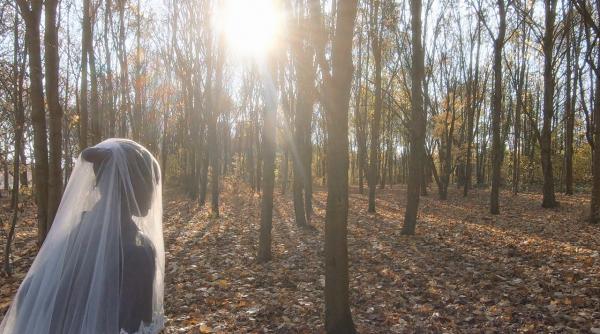 incepe prima editie bieff timisoara