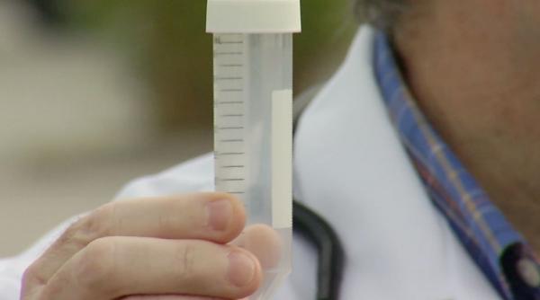 lotul 3 al testelor de saliva 75 de milioane de lei printre furnizori un fost consilier in ministerul culturii