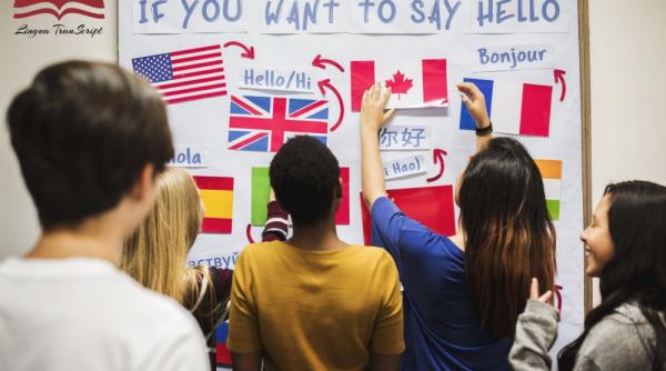 p cursurile de limba straina pentru companii o necesitate pentru dezvoltarea business ului