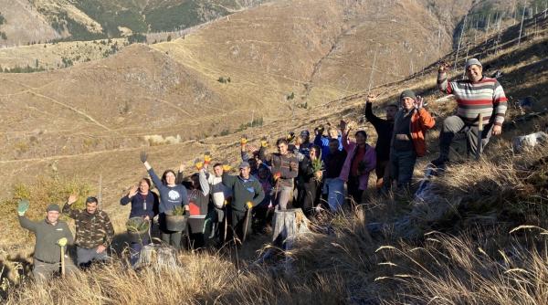 dj nico de transilvania artista care salveaza padurile din romania cu ajutorul muzicii pregateste un nou proiect in tara finantat de cambridge university