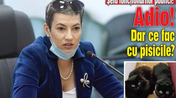 violeta vijulie record de numiri si demiteri de la conducerea agentiei nationale a functionarilor publici