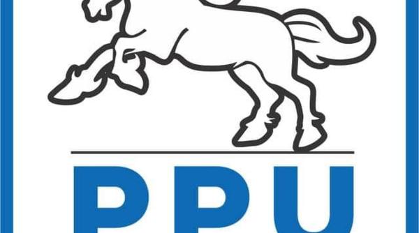 comunicat de presa partidul puterii umaniste social liberal